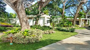 Un jardín bien cuidado con diversas plantas y árboles, un sendero pavimentado y un edificio de diseño moderno.