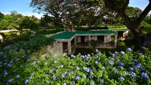 Una casa de techo verde, rodeada de abundante vegetación y plantas en flor.