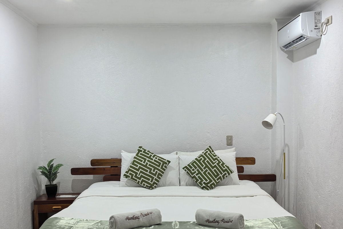 Una cama bien hecha con dos almohadas, una lámpara de noche, una mesita con una planta y un equipo de aire acondicionado en la pared.