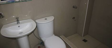 A bathroom with a pedestal sink, toilet, and a glass shower enclosure.