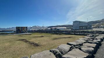 A coastal area with a rocky breakwater, a grassy field, and buildings in the background.
