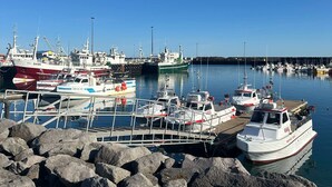 Un port de plaisance où sont amarrés différents types de bateaux, un premier plan rocheux et un ciel bleu dégagé.