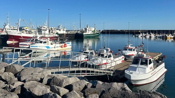 Un port de plaisance où sont amarrés différents types de bateaux, un premier plan rocheux et un ciel bleu dégagé.
