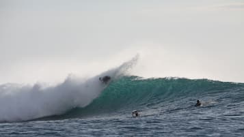 Nära stranden, vit sandstrand, solstolar och snorkling