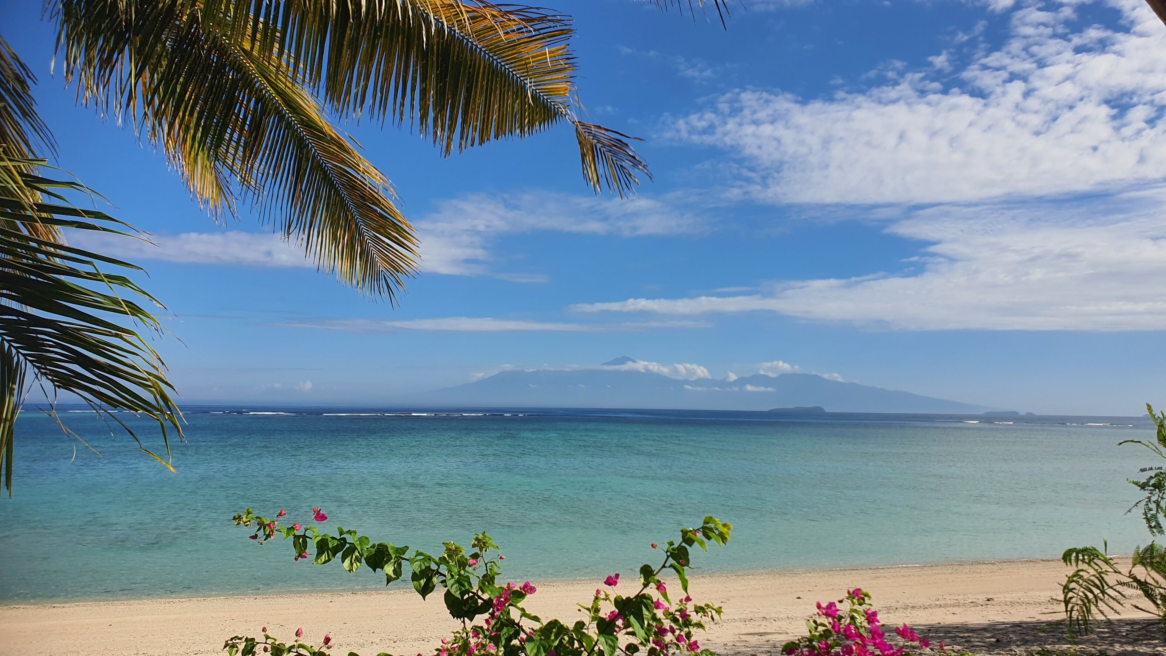 A beach with clear water, a distant mountain, and some vegetation.