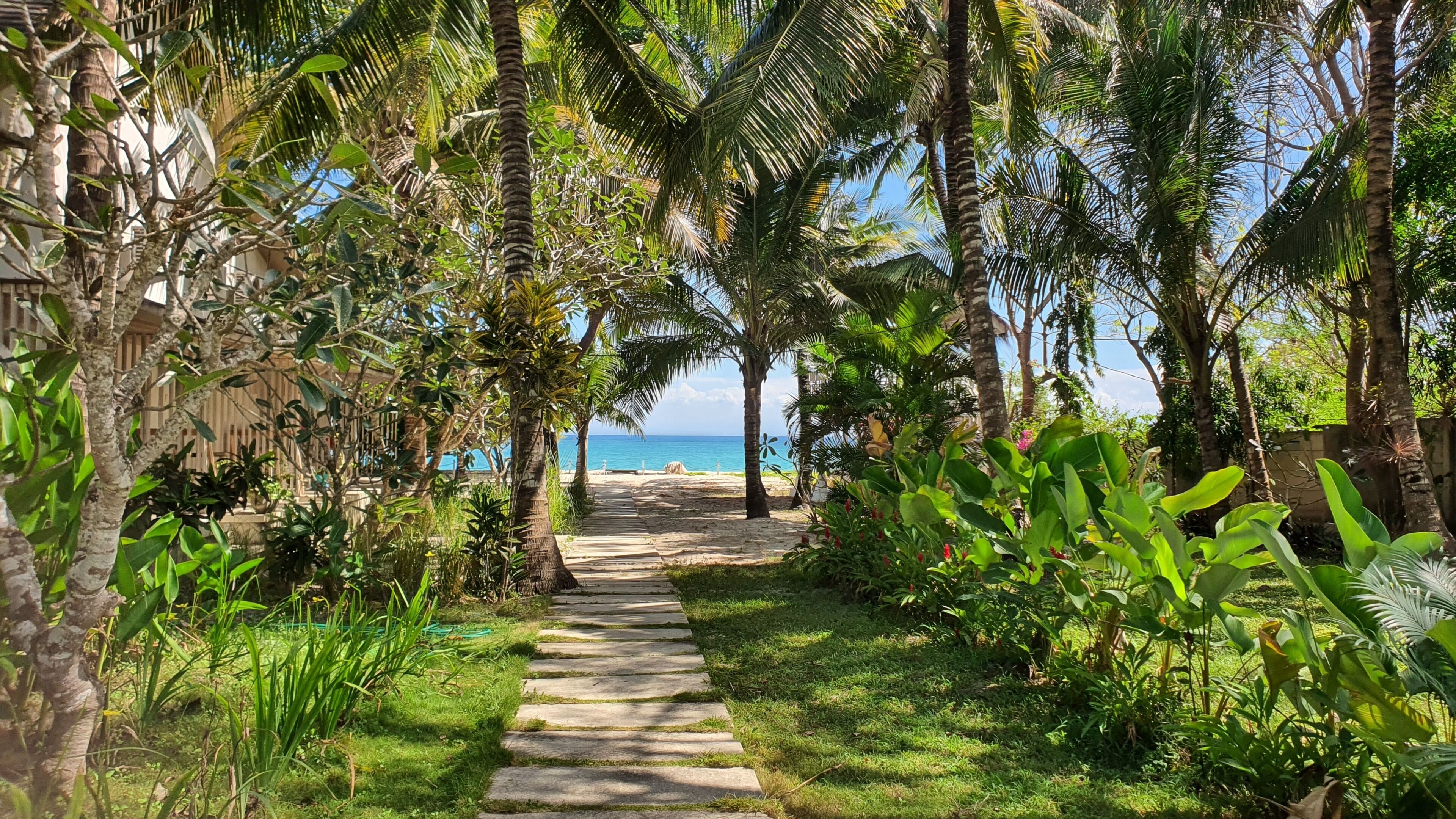 Un sendero que lleva a una playa con palmeras y una vista despejada del océano.