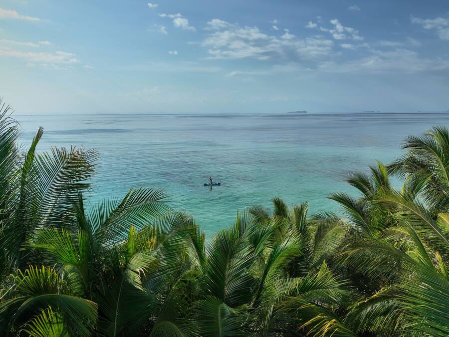 A tropical beach with clear turquoise waters, a person paddleboarding, and dense palm foliage in the foreground.