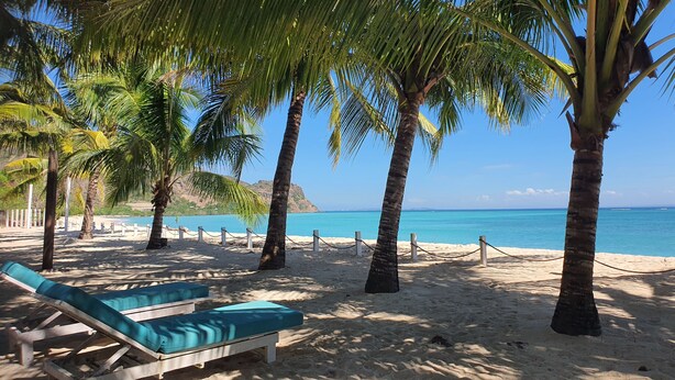 A beach with palm trees, a sandy area, and a clear blue sea. - MYAMO Beach Lodge (Sumbawa Barat)