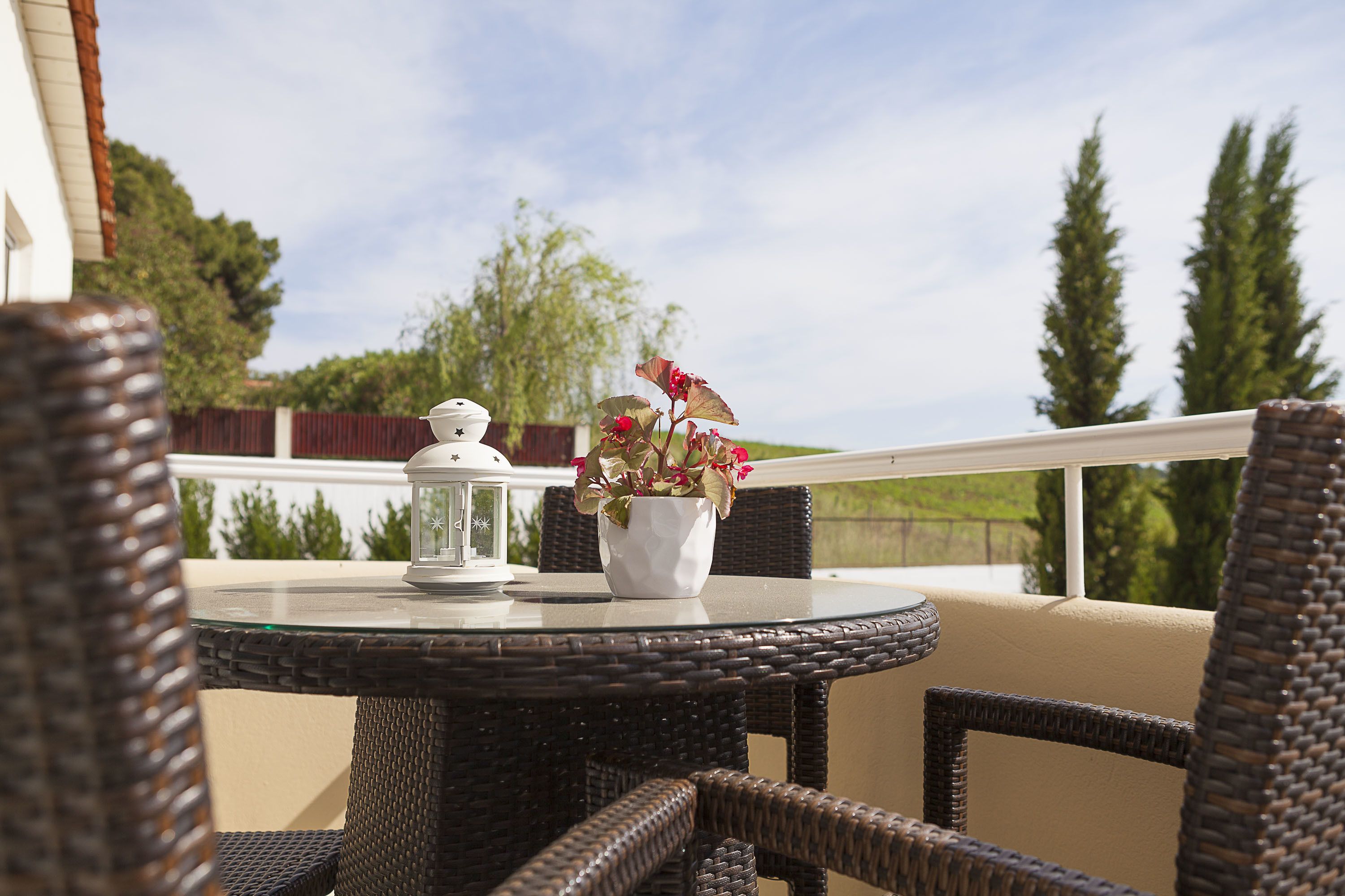 Vista desde la habitación