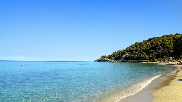 Una playa con agua cristalina, orilla arenosa y una colina boscosa al fondo.