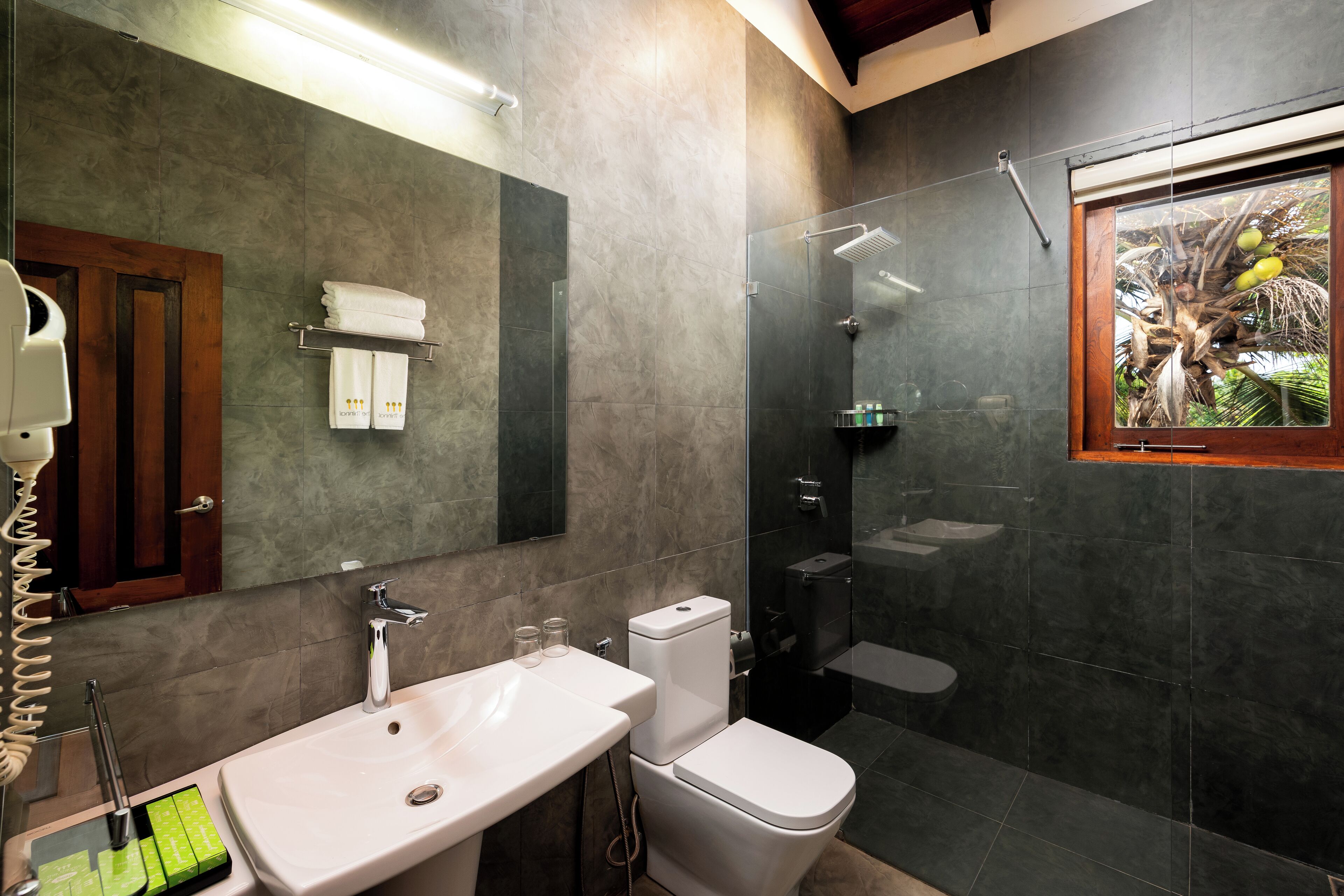A modern bathroom with a glass-enclosed shower, a white sink, and a toilet.