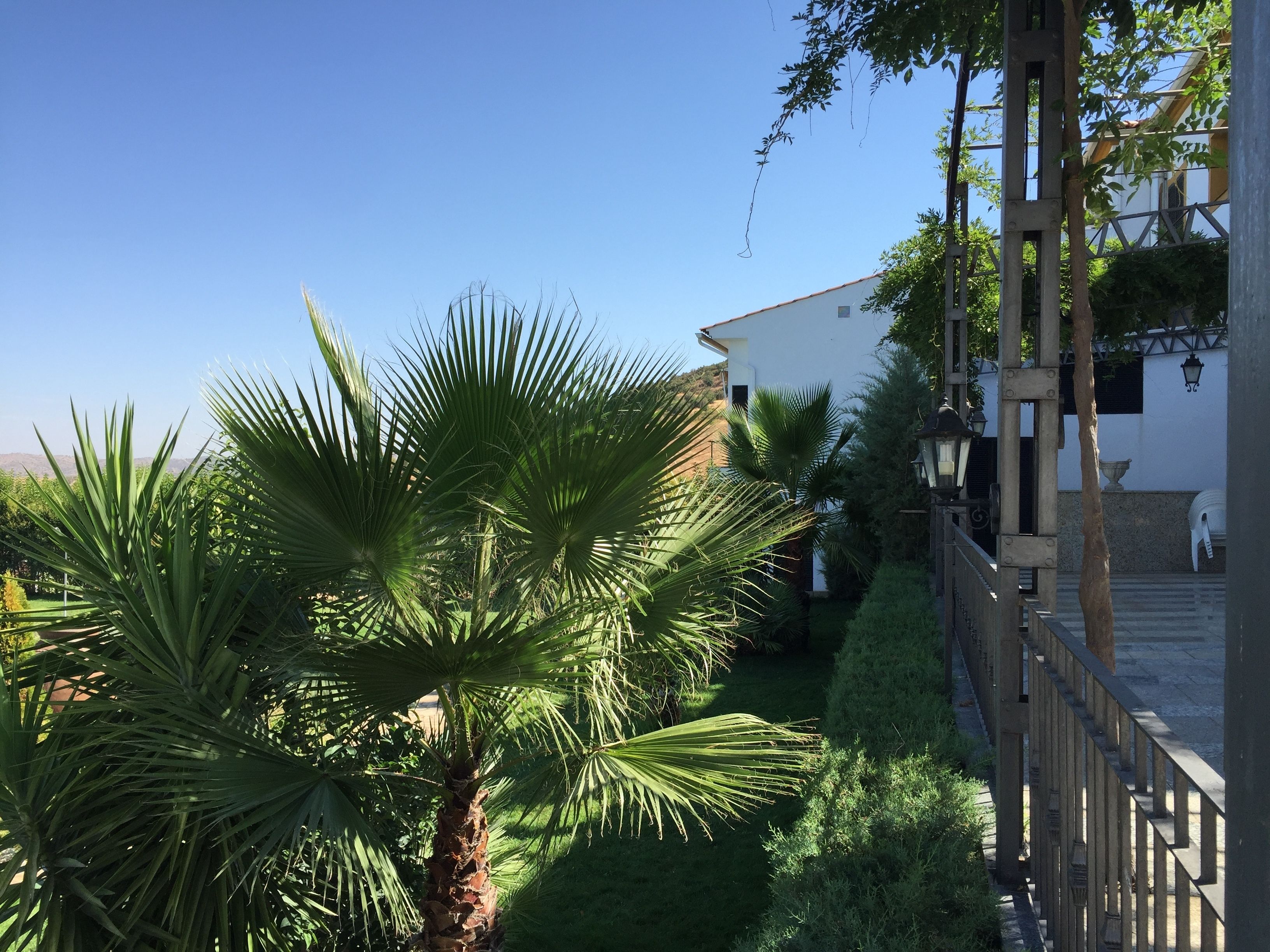 Una piscina al aire libre (de 12:00 a 21:00), sombrillas