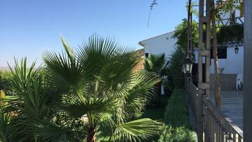 Hồ bơi ngoài trời, mở cửa từ 12:00 đến 21:00, dù/ô trên bãi biển/hồ bơi