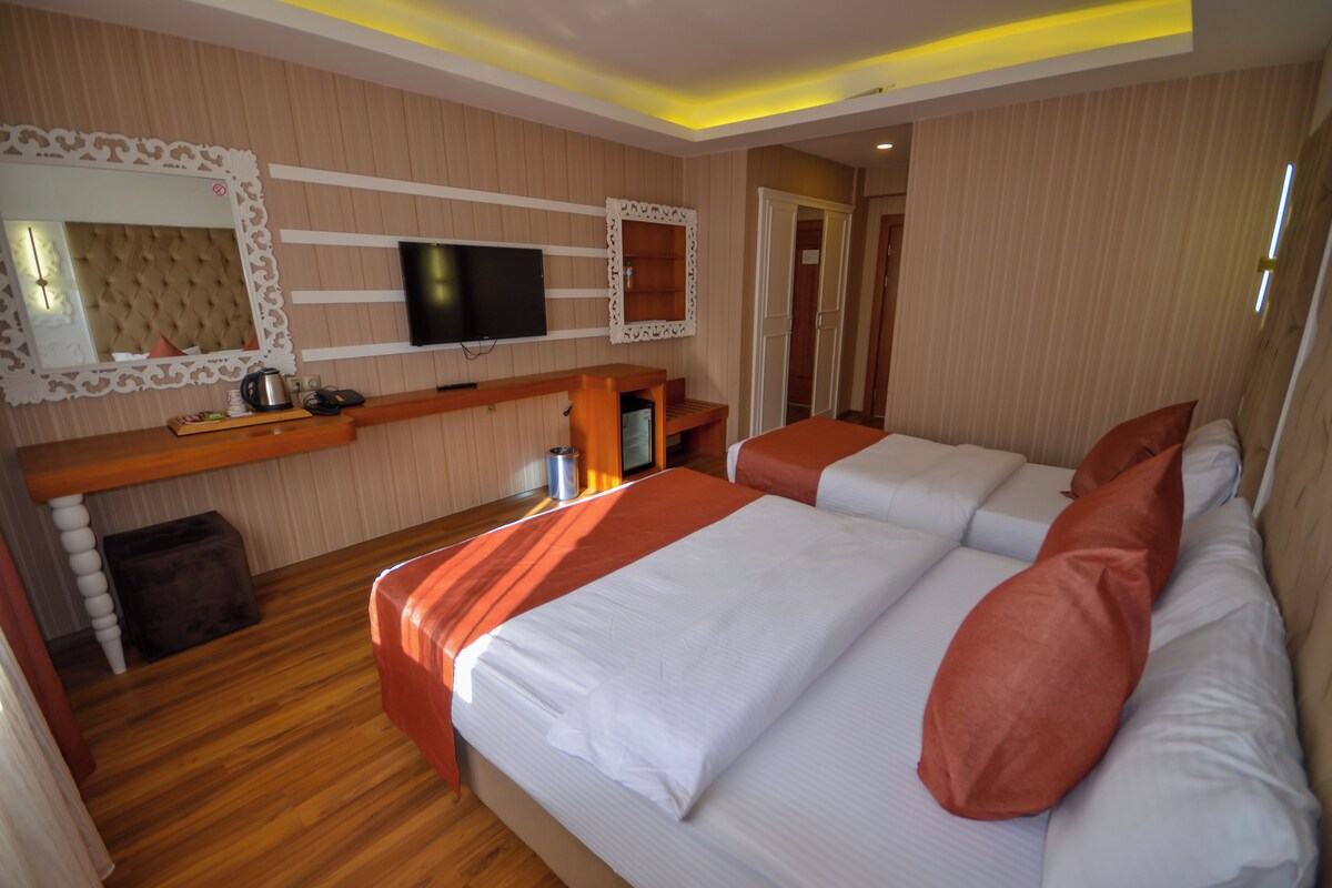 Standard Room, Mountain View | Minibar, in-room safe, WiFi (free), individually decorated