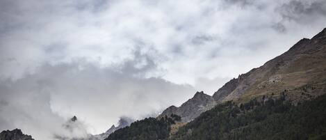 A mountainous landscape with dense forests and rocky terrain.