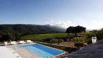 A pool with lounge chairs, a vineyard in the background, and a lamp post.