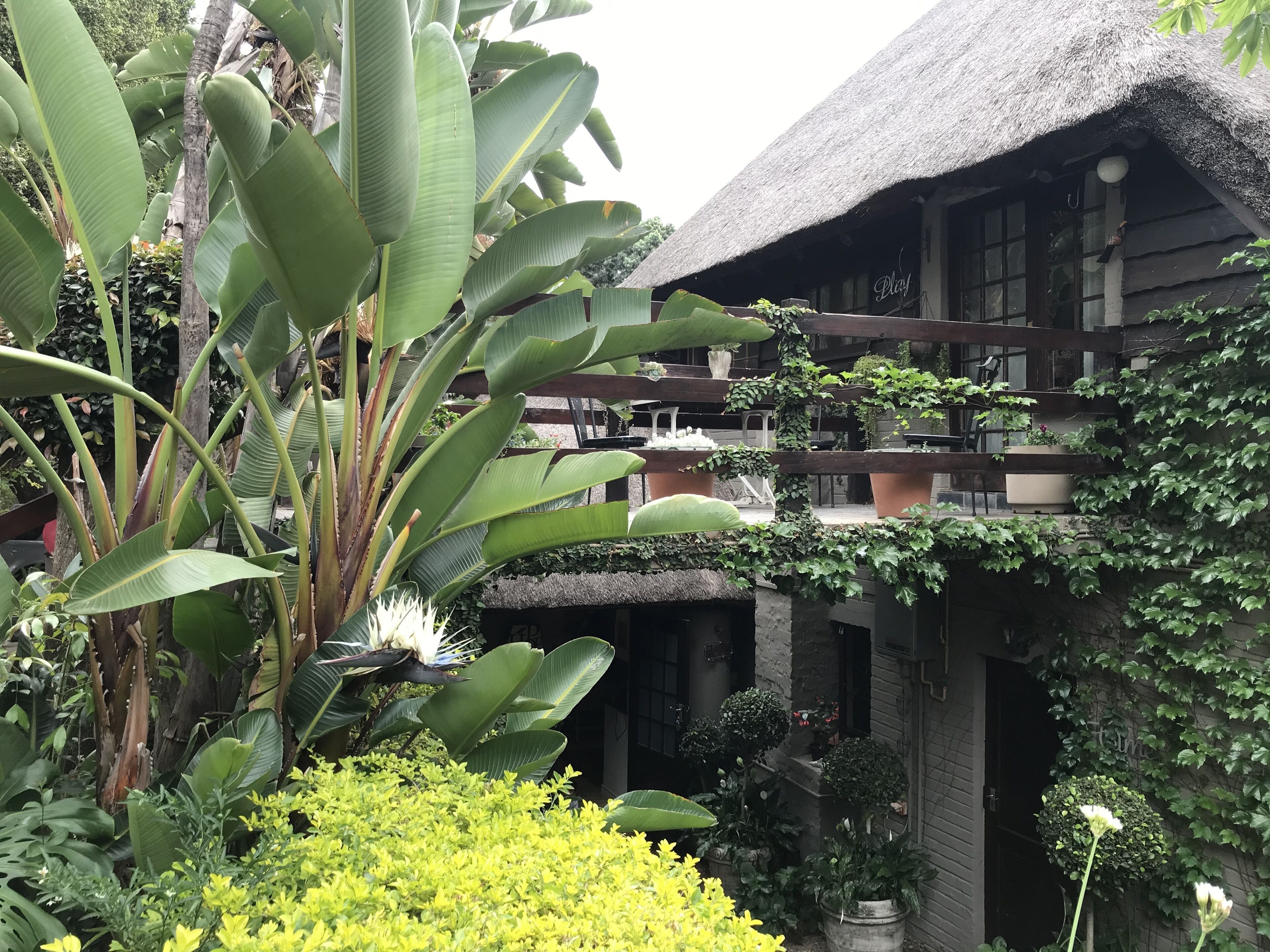 Fun & Play  | Teras/patio