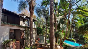 A courtyard with a swimming pool, palm trees, and potted plants. - Waterhouse Guest Lodges 295 Indus Street (Pretoria)