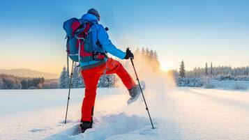 Une personne fait du ski dans un paysage enneigé, sous un ciel dégagé.
