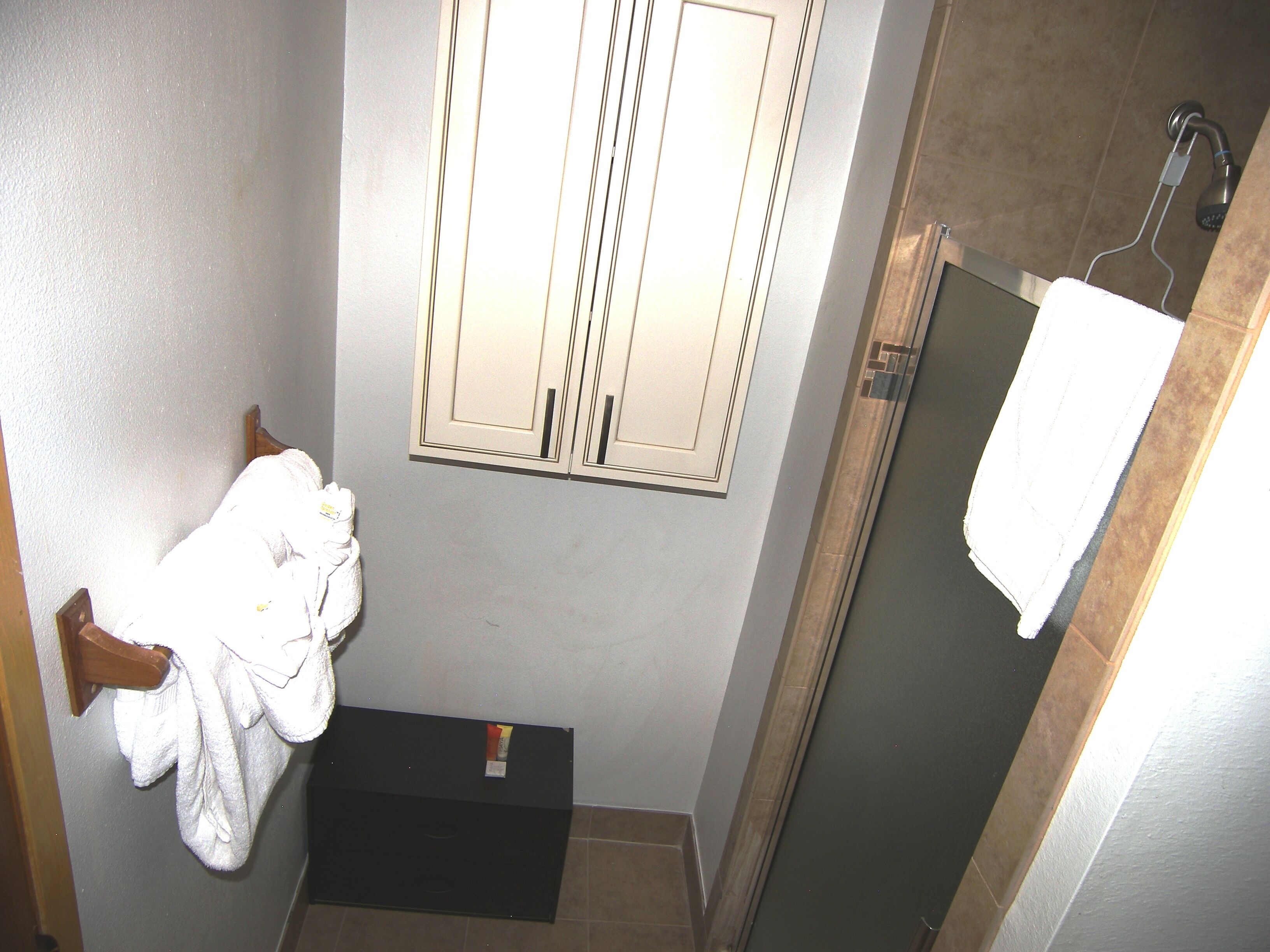 A small bathroom with a shower, a towel rack, and a cabinet.