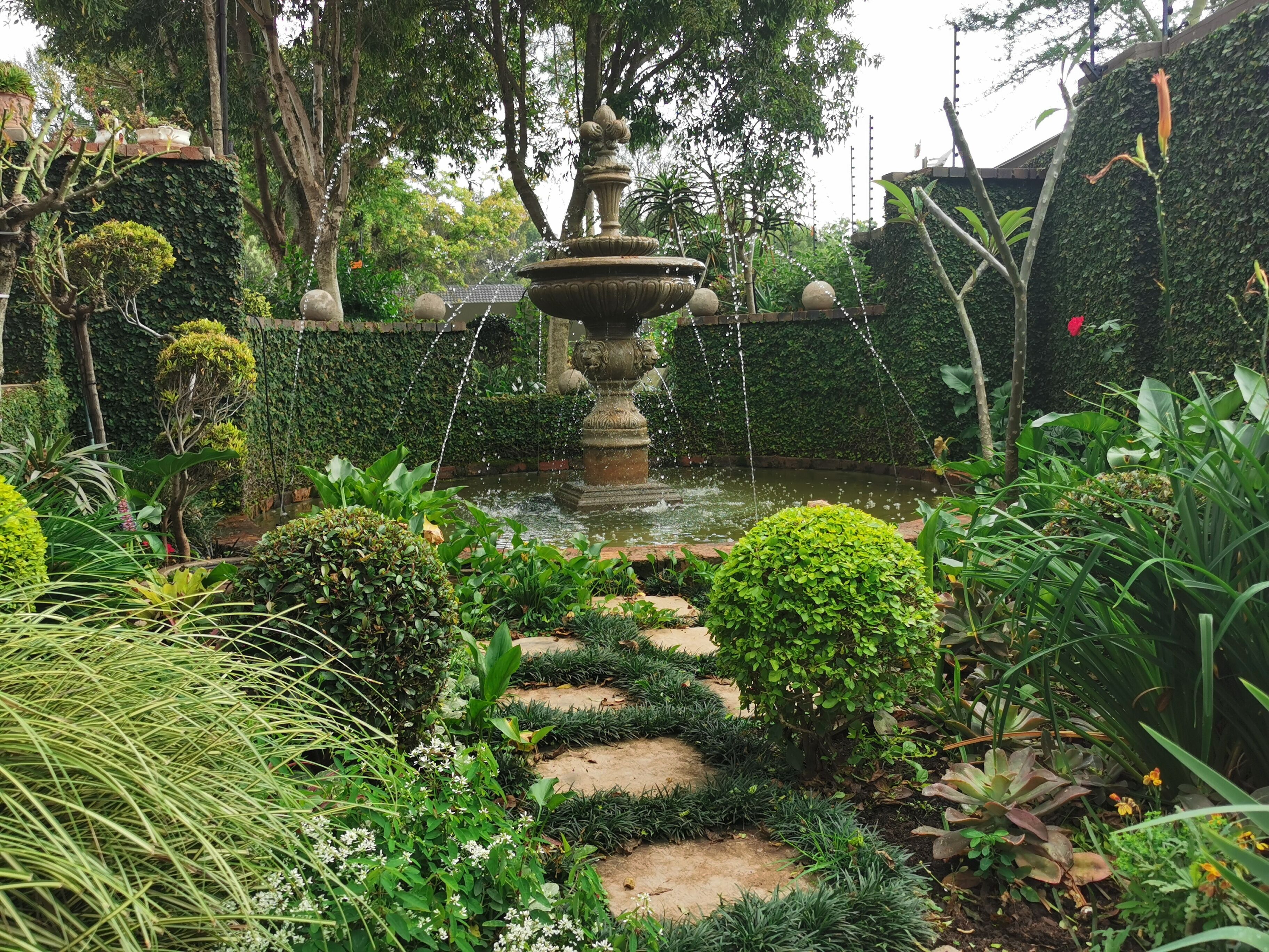 A garden with a central fountain, surrounded by various plants and a stone pathway.