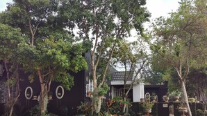 Un edificio con fachada oscura, rodeado de abundante vegetación y plantas en macetas.