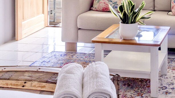 Una habitación acogedora con un sofá, una mesita de centro con una planta y toallas ordenadas en el suelo.