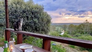 Una mesa de madera con una jarra de cerveza, una botella y una vela, con el fondo de un gato en una barandilla y una vista panorámica de un valle.
