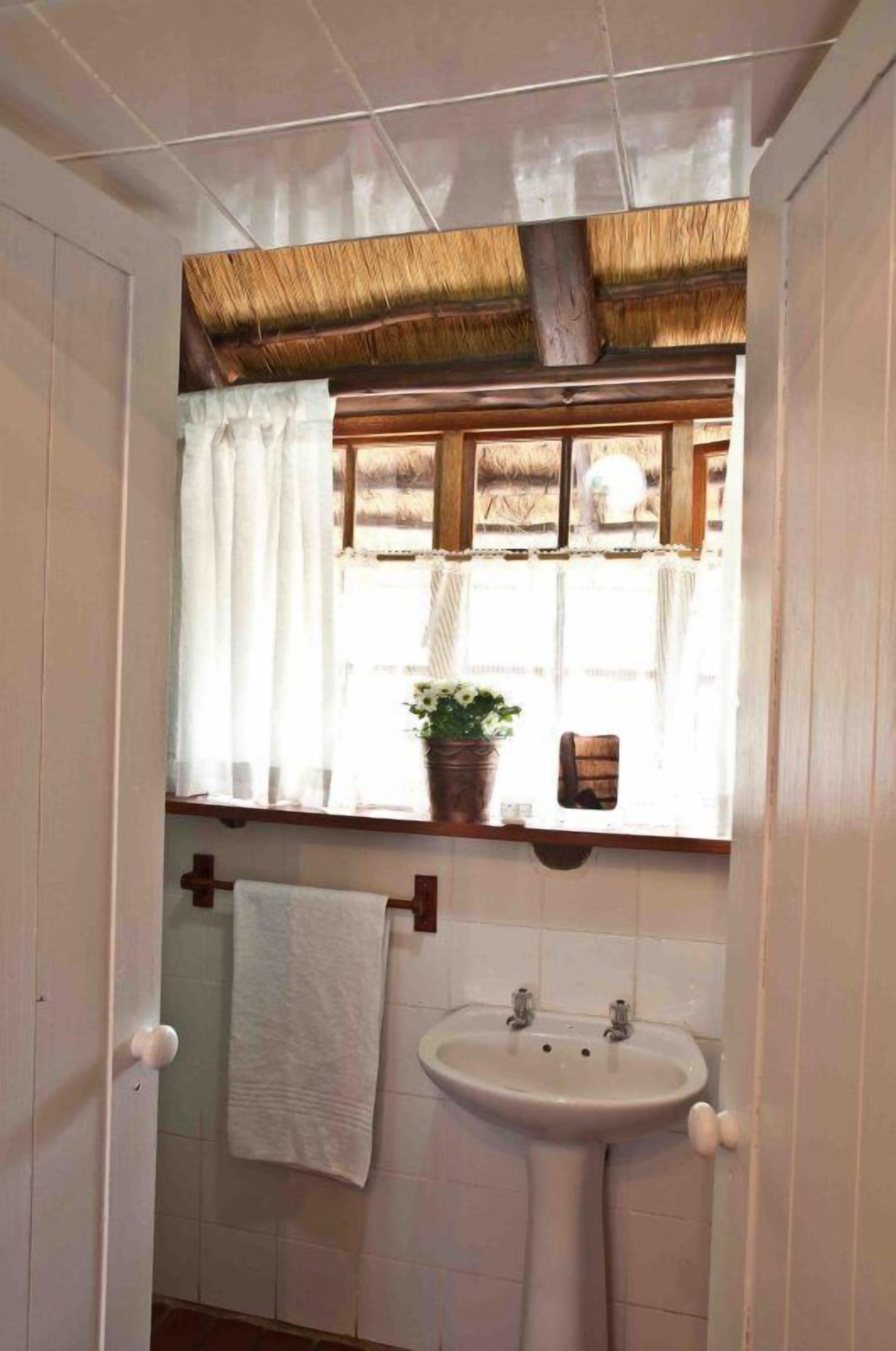 Une salle de bain avec un lavabo blanc, une fenêtre avec un rideau et une plante en pot posée sur le rebord de la fenêtre.