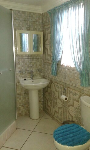 Room 18 (Double room) | Bathroom | Free toiletries, towels