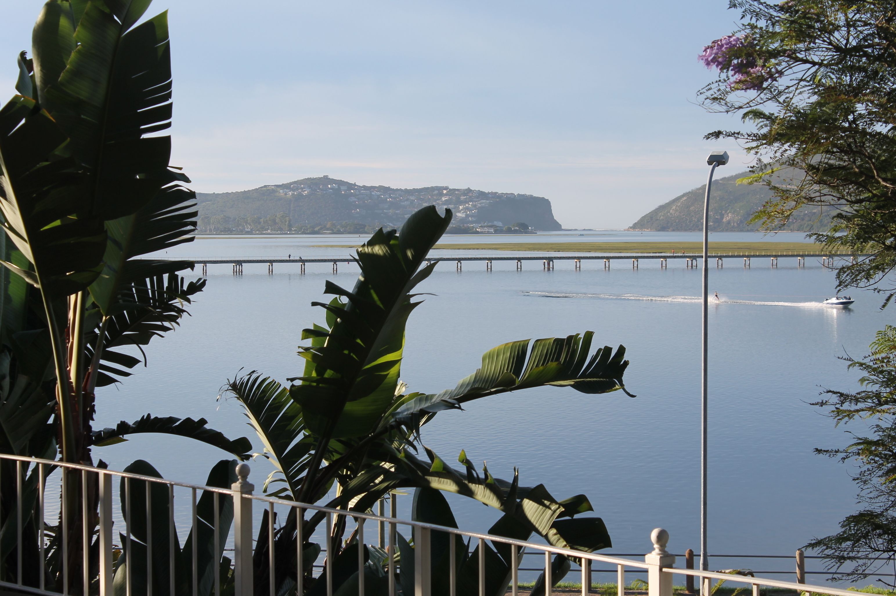 A waterfront view with a bridge, a mountain in the background, and tropical plants in the foreground.