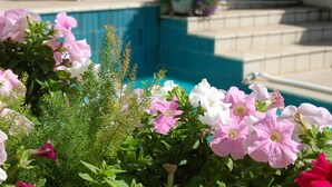 A pool area with steps leading down to the water, surrounded by flowering plants.
