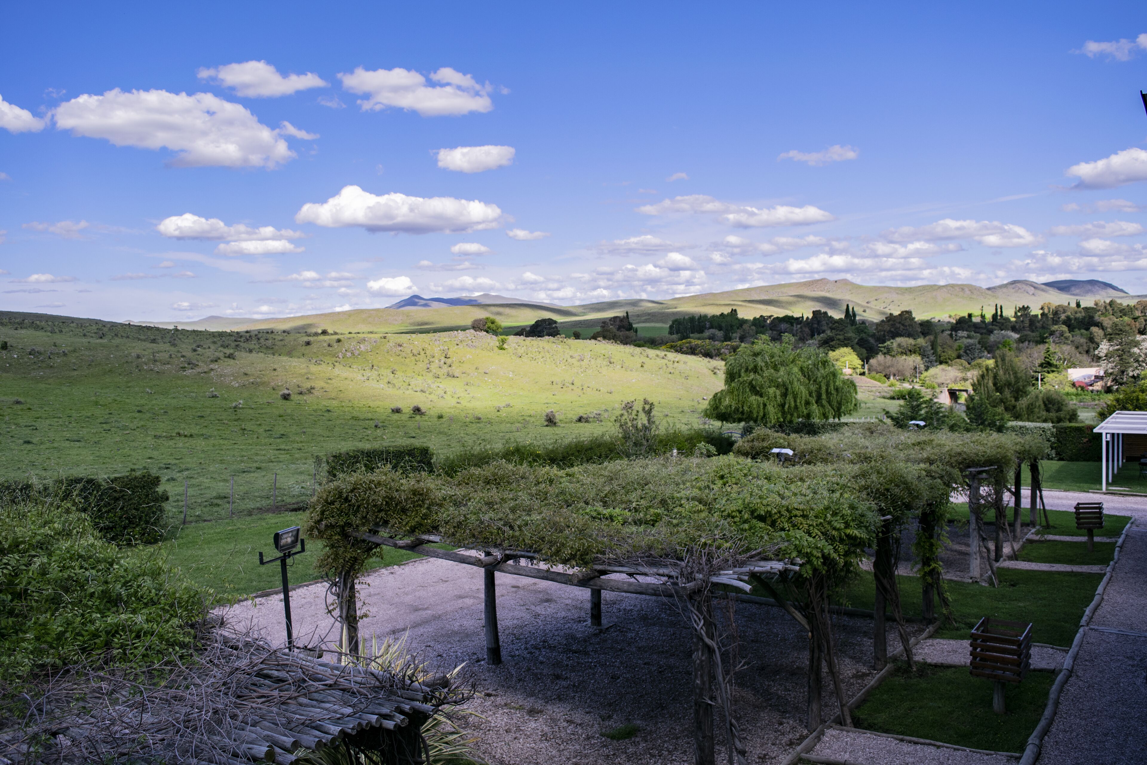 double room | mountain view