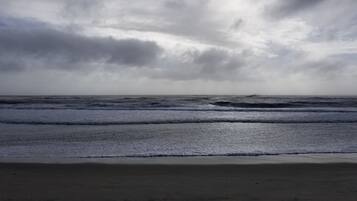 Premium bedding, WiFi, bed sheets