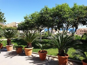 Property grounds - Makis Studios and Apartments (Corfu)