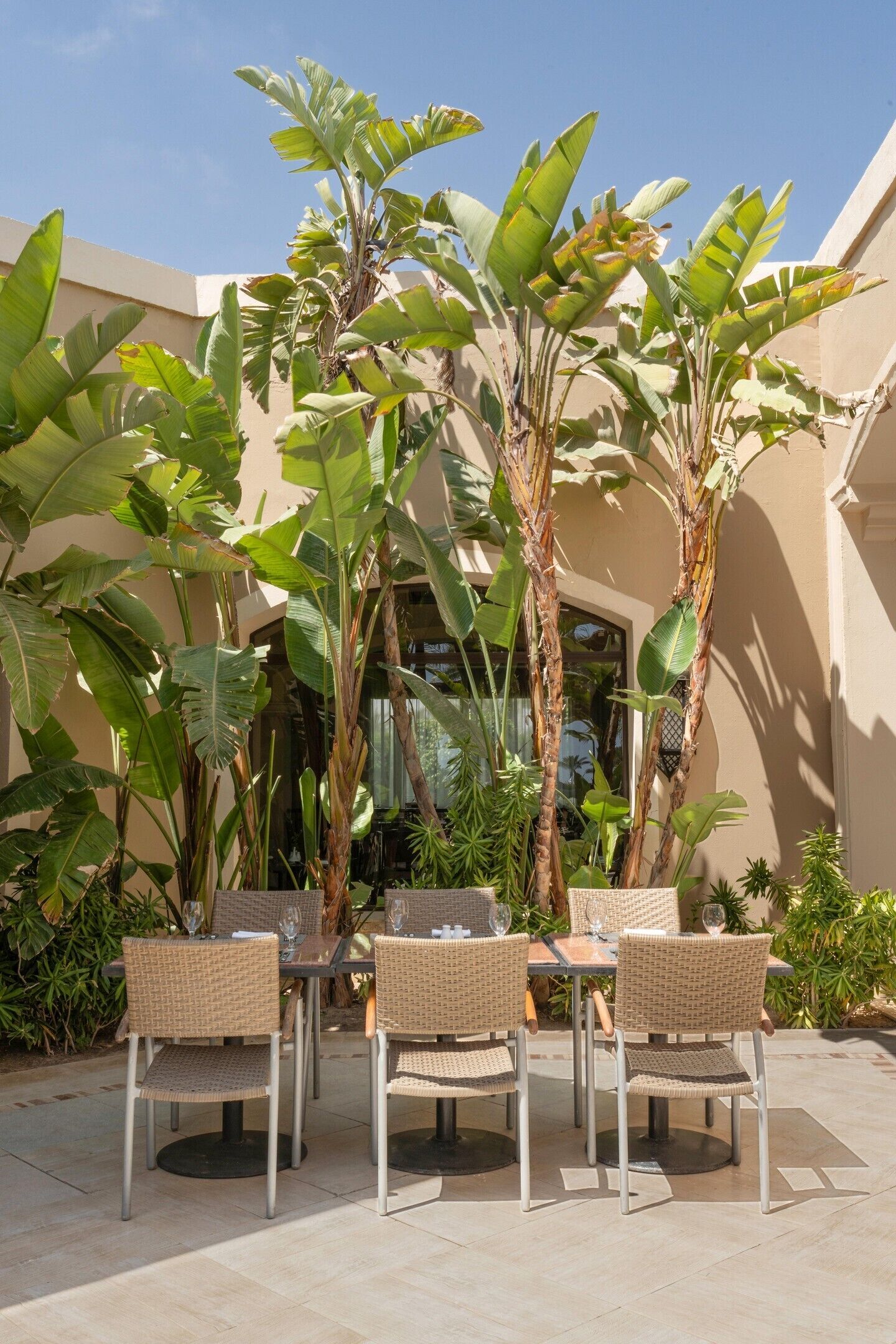 An outdoor seating area with wicker chairs and tables, surrounded by large banana plants.