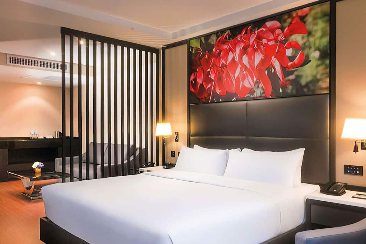 Minibar, in-room safe, desk, blackout curtains