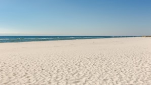 Condo, 1 cama King size (Phoenix X Unit 705) | Playa