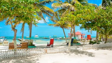 Vue sur la plage/l’océan