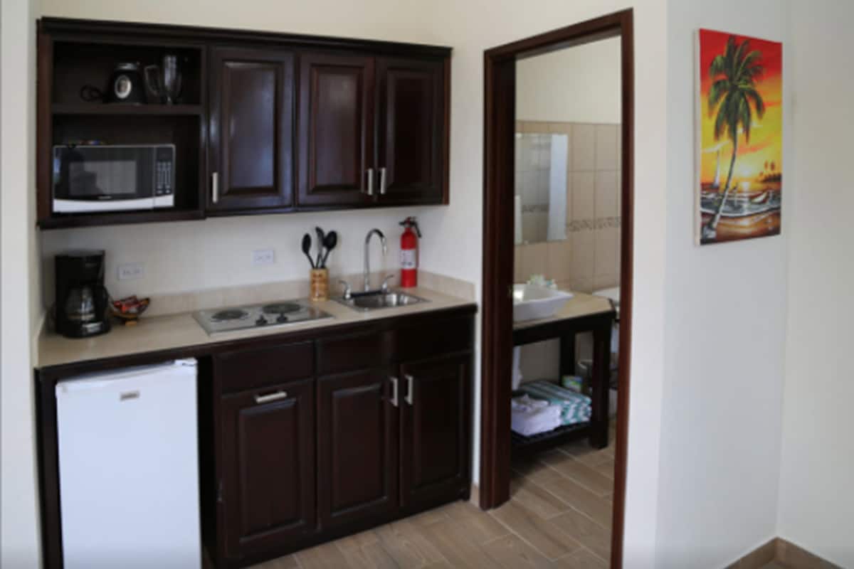 standard studio suite, 1 king bed, beach view, beachfront | private kitchenette | fridge, microwave, coffee/tea maker