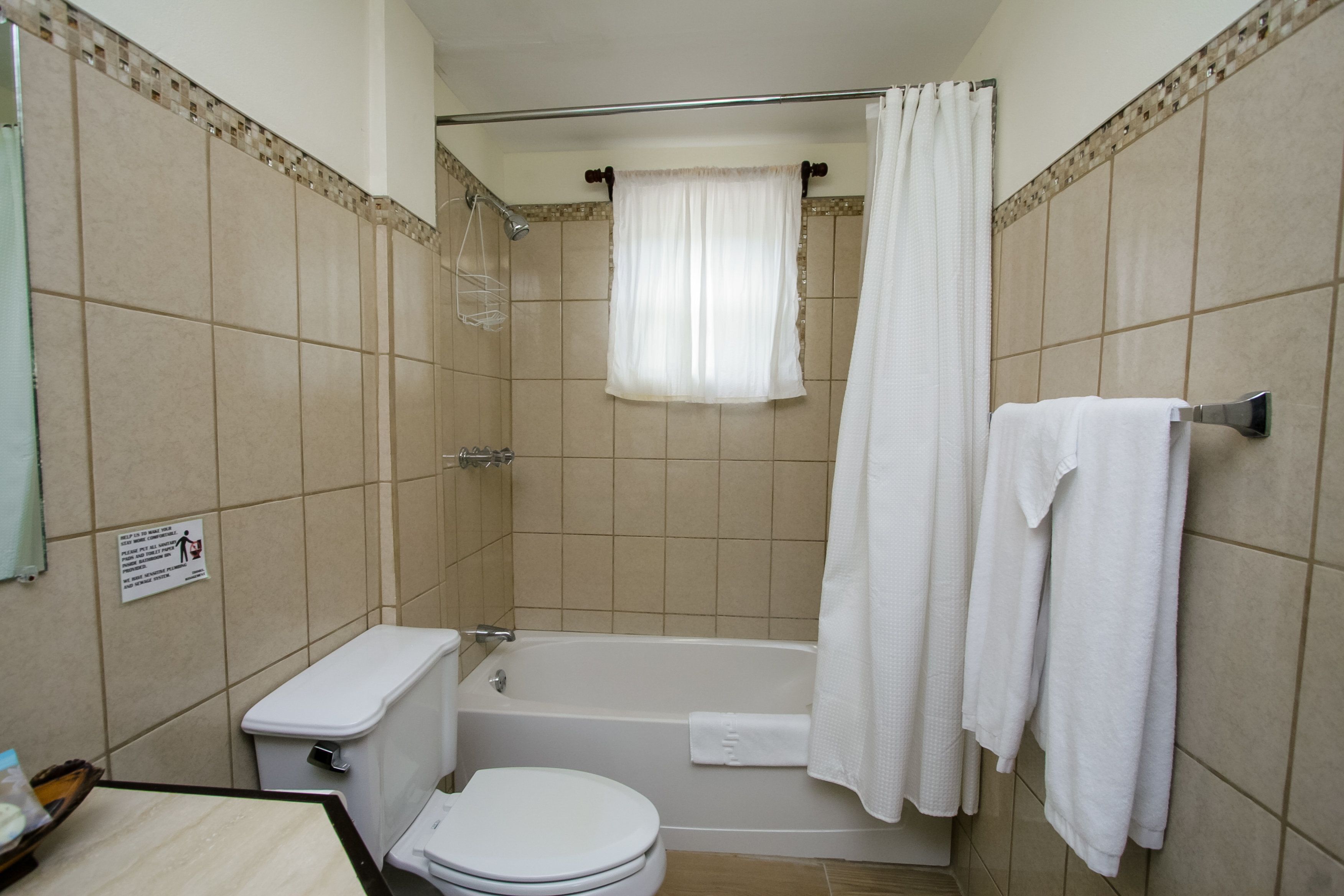standard studio suite, 1 king bed, beach view, beachfront | bathroom | shower, rainfall showerhead, eco-friendly toiletries, hair dryer