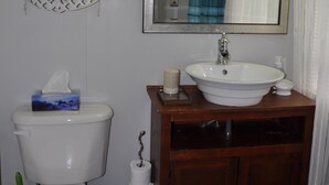 A bathroom with a toilet, sink, and mirror. - Moncton Suites - 81 Maple Street (Moncton)