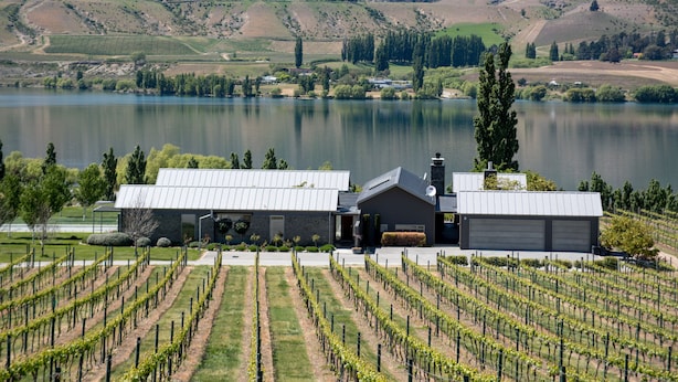 A vineyard with rows of grapevines, a building with a metal roof, and a lake in the background. - Mt Michael Lodge (Lowburn)