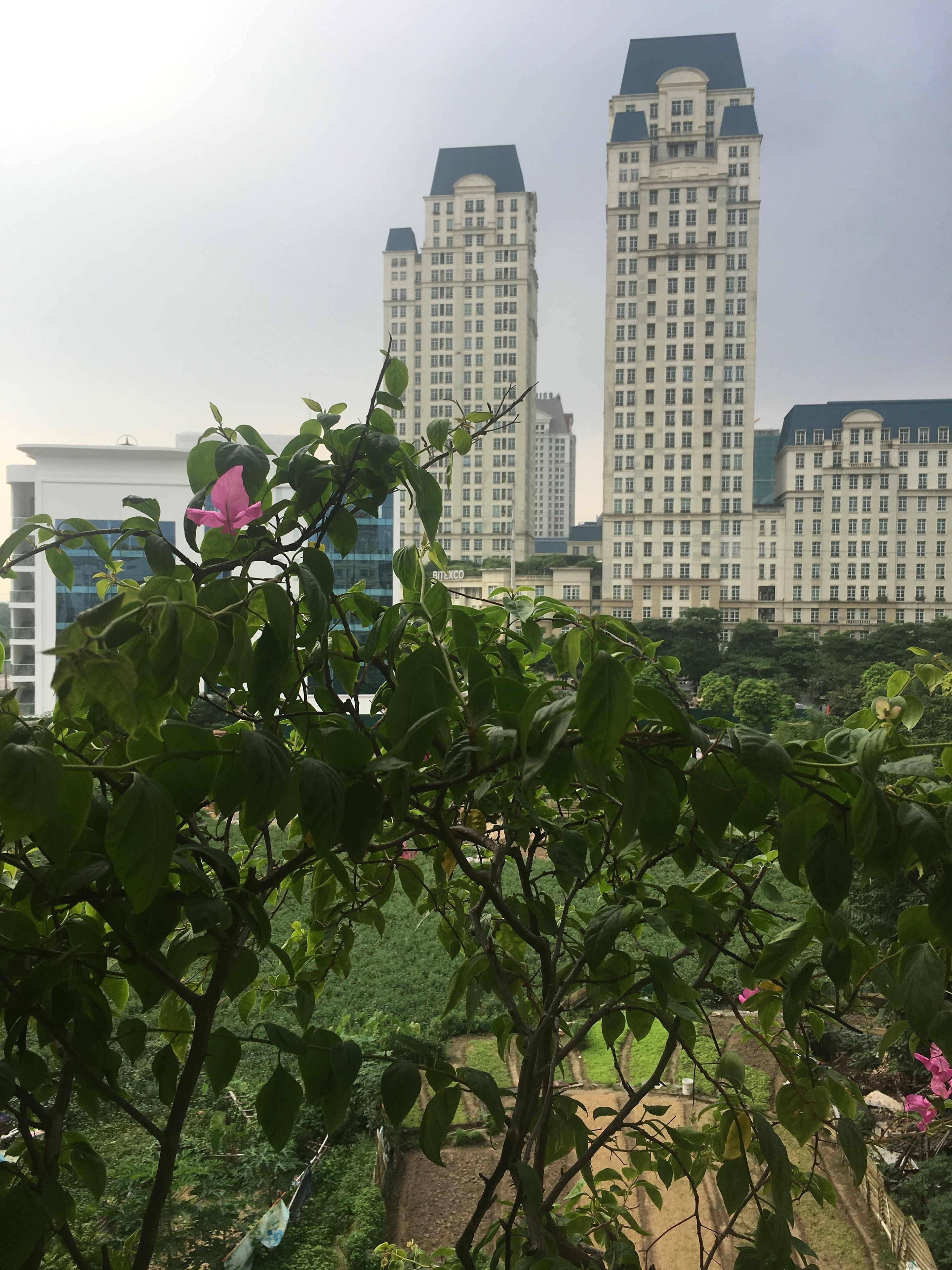 Land view from property