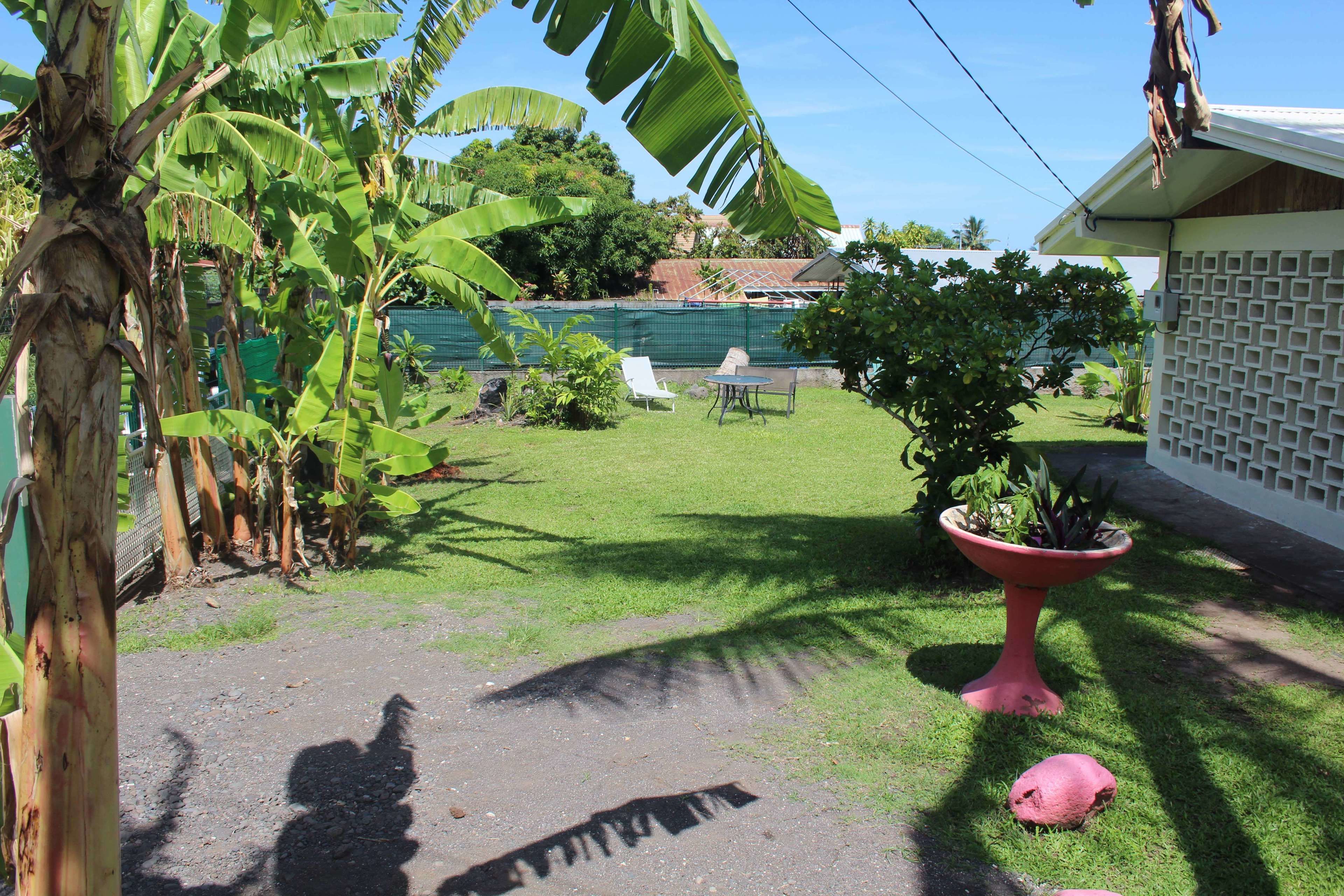 Un jardin avec une pelouse, un pot de fleurs et une chaise.