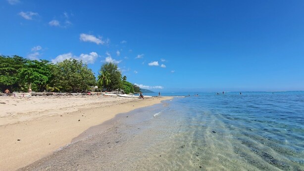 Une plage avec une eau claire et peu profonde, un rivage sablonneux et des arbres en arrière-plan.