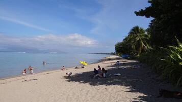 Une plage où l’on peut voir des gens se prélasser au soleil et nager, des palmiers et un ciel dégagé.