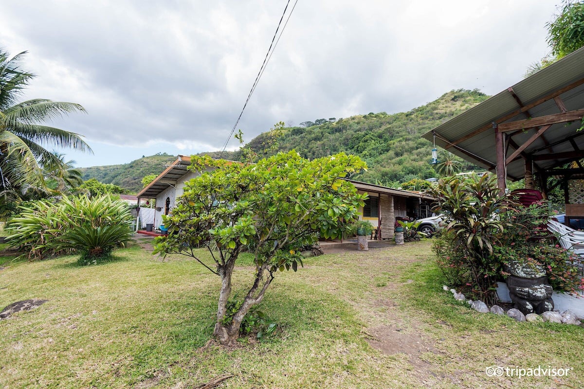 A residential area with a house, a covered porch, and a lush garden with various plants and a small tree.