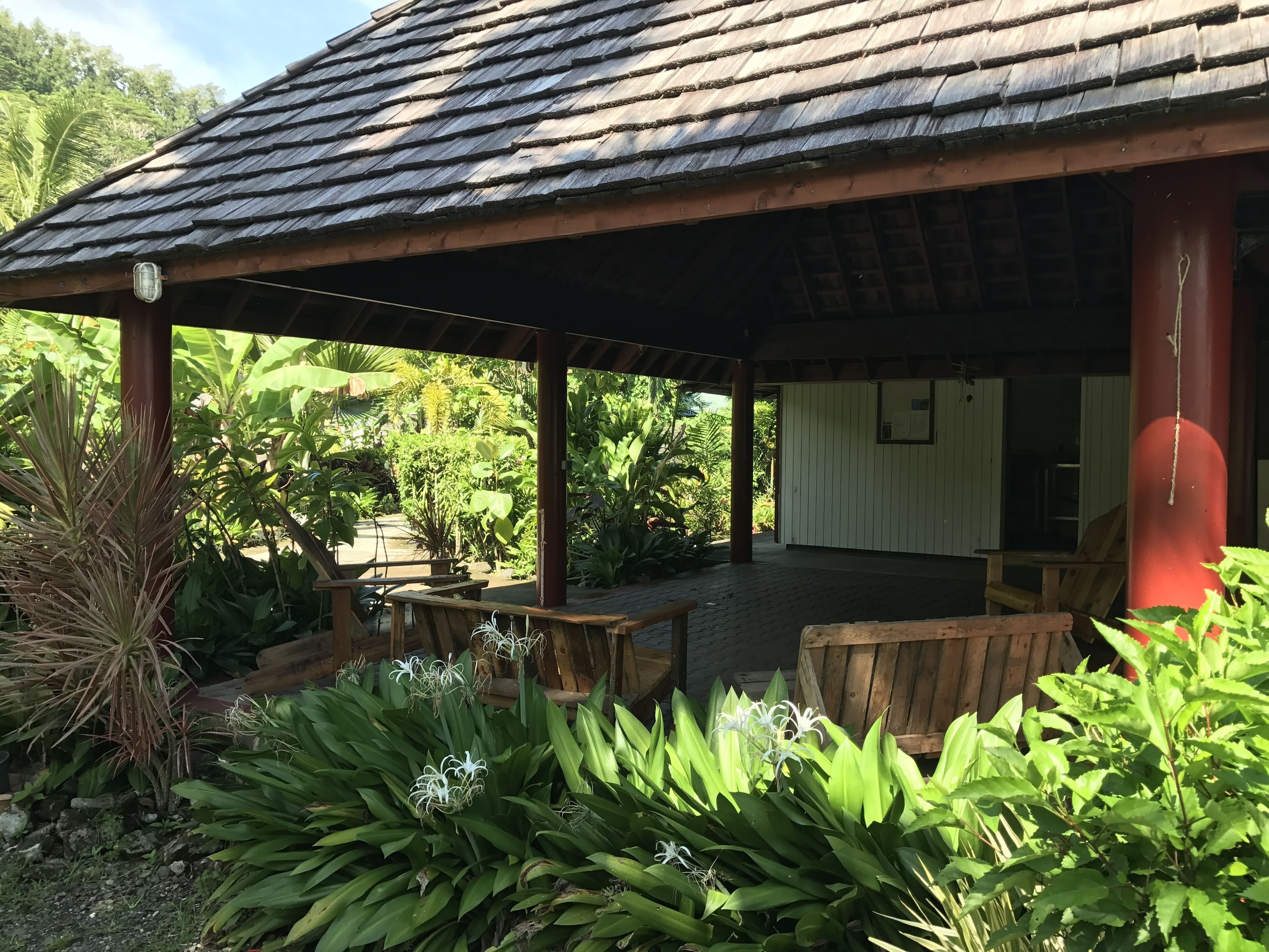 Un espacio al aire libre cubierto con muebles de madera y abundante vegetación.