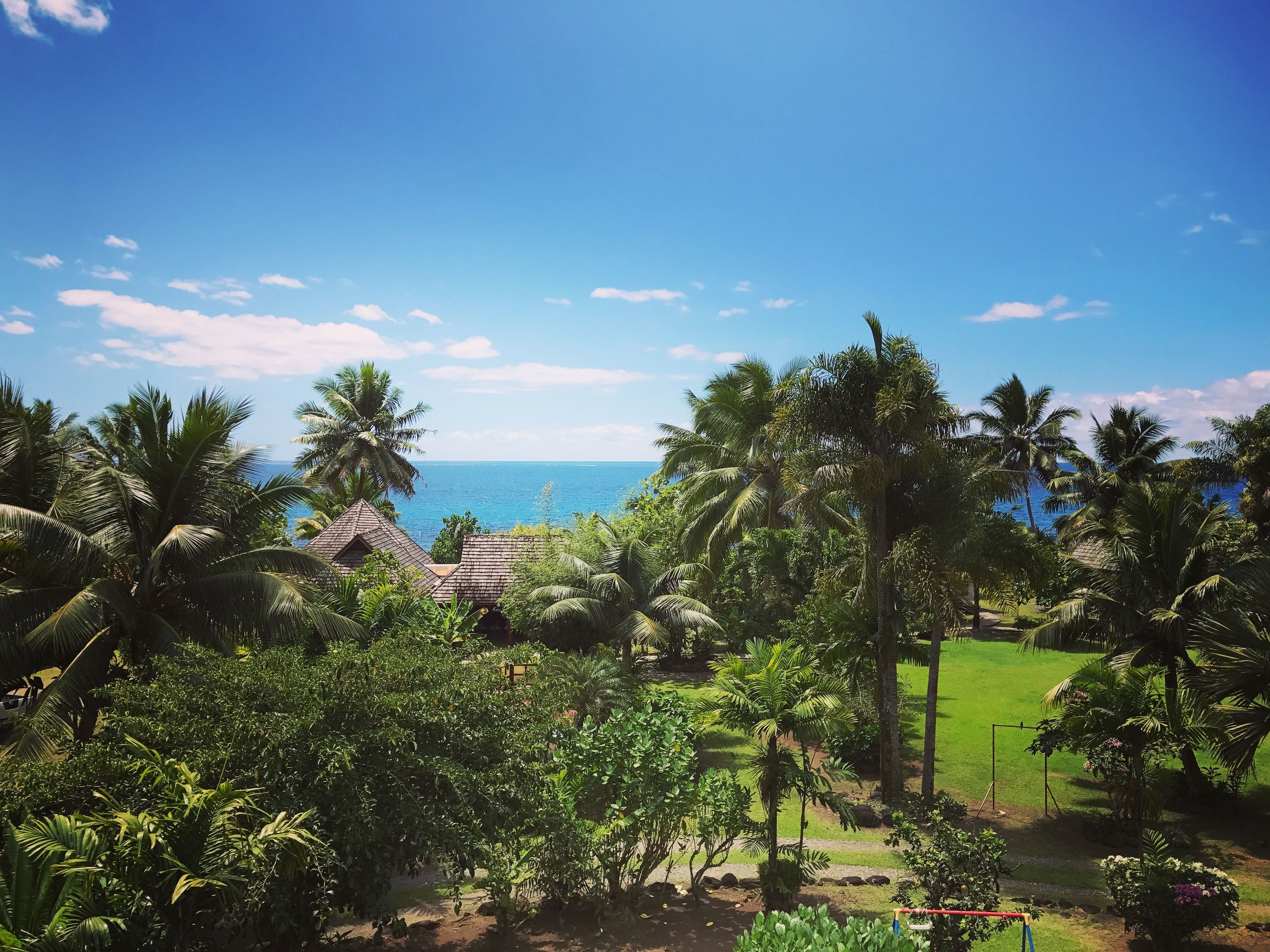 Un paisaje tropical con palmeras, cielo azul despejado y vista al océano.